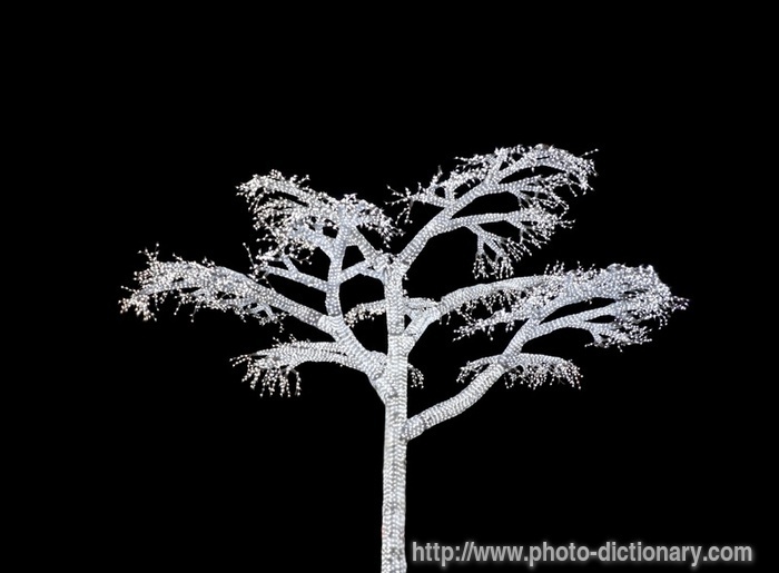 ghost tree - photo/picture definition - ghost tree word and phrase image