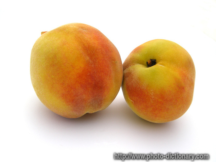 peaches - photo/picture definition - peaches word and phrase image