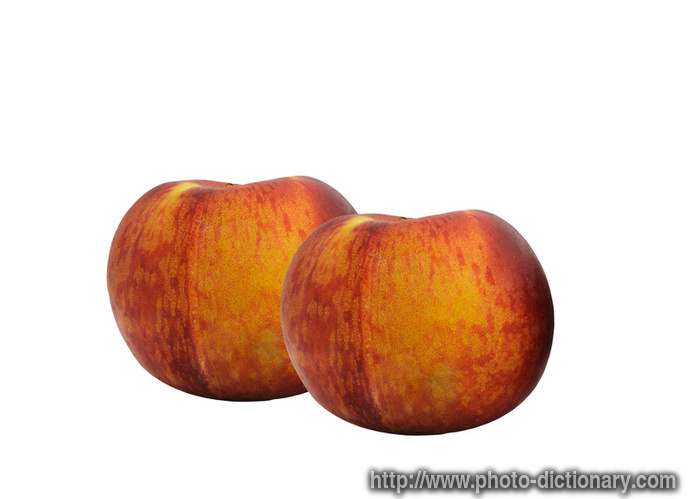 peaches - photo/picture definition - peaches word and phrase image