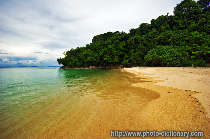tropical beach - photo/picture definition - tropical beach word and phrase image