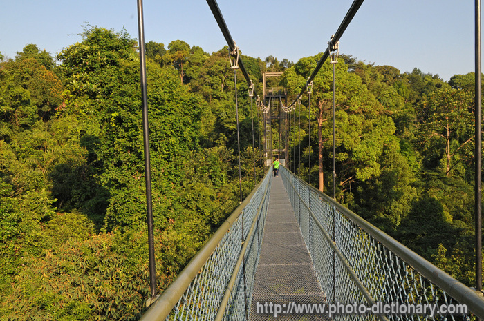 suspension bridge - photo/picture definition - suspension bridge word and phrase image