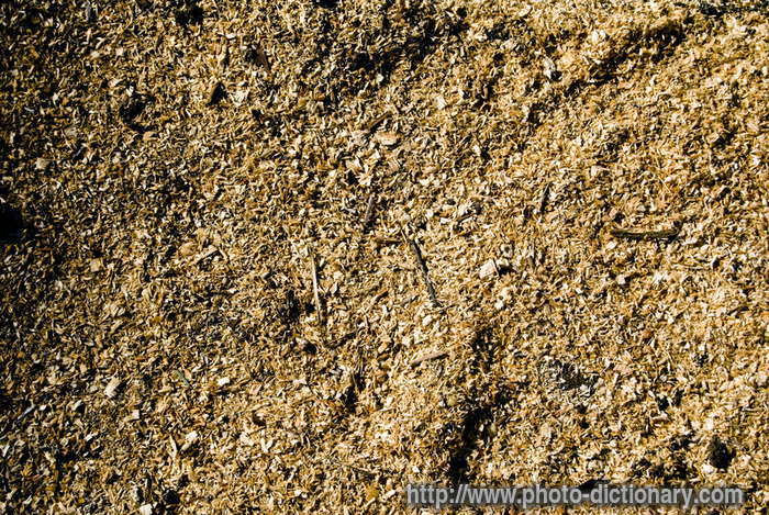 sawdust - photo/picture definition - sawdust word and phrase image