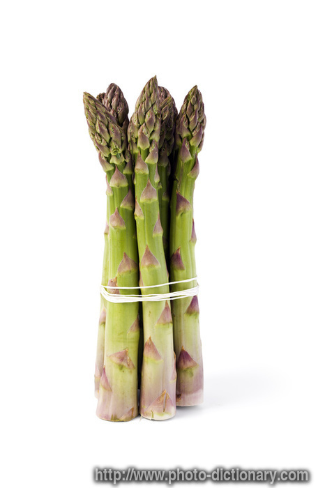 green asparagus - photo/picture definition - green asparagus word and phrase image