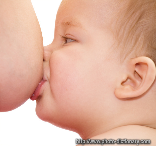 breastfeeding - photo/picture definition - breastfeeding word and phrase image