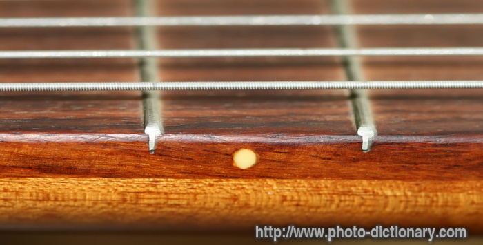 fretboard - photo/picture definition - fretboard word and phrase image