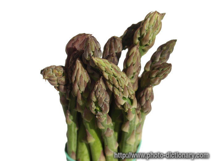bunch of asparagi - photo/picture definition - bunch of asparagi word and phrase image