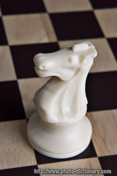 chess piece - photo/picture definition - chess piece word and phrase image