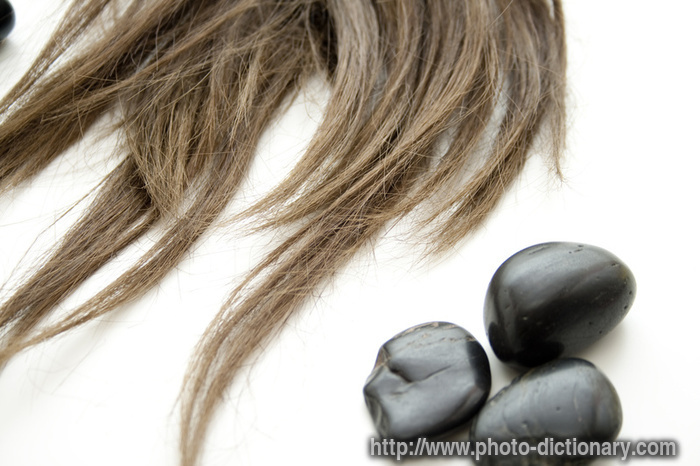 hairs - photo/picture definition - hairs word and phrase image