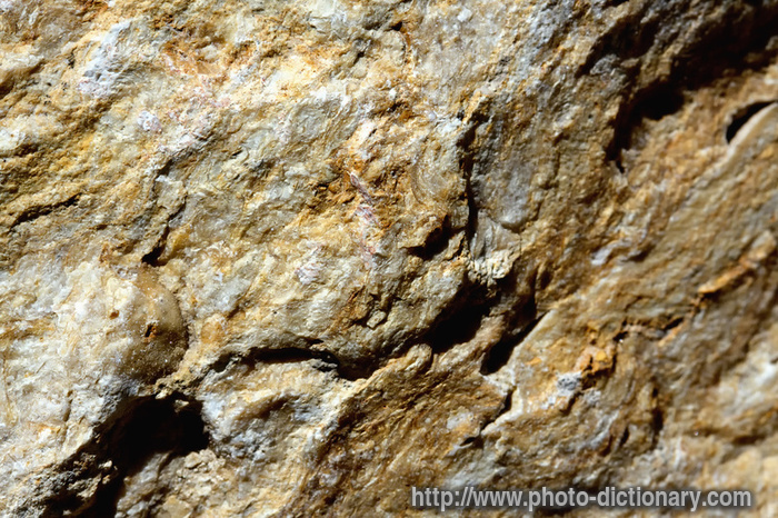 stone texture - photo/picture definition - stone texture word and phrase image