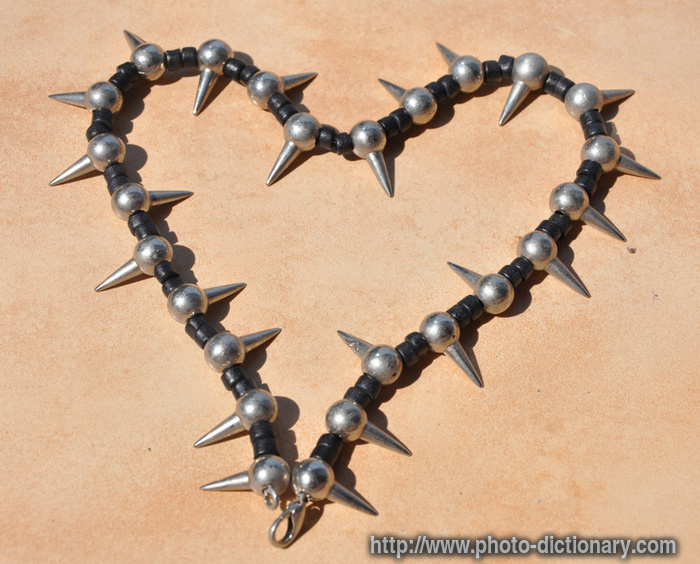 spiny heart - photo/picture definition - spiny heart word and phrase image