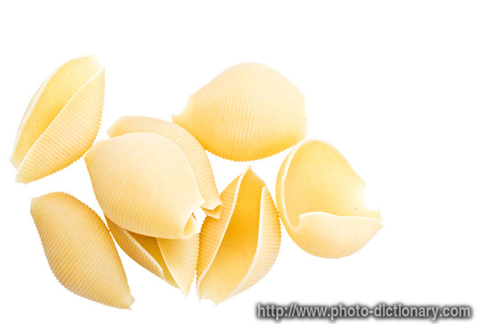 pasta shells - photo/picture definition - pasta shells word and phrase image