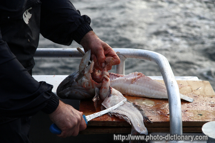 filleting - photo/picture definition - filleting word and phrase image