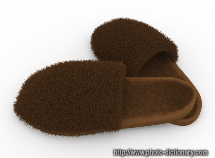 furry slippers - photo/picture definition - furry slippers word and phrase image