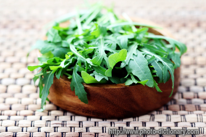 rucola - photo/picture definition - rucola word and phrase image