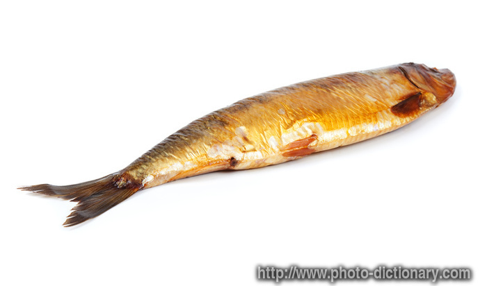 smoked fish - photo/picture definition - smoked fish word and phrase image