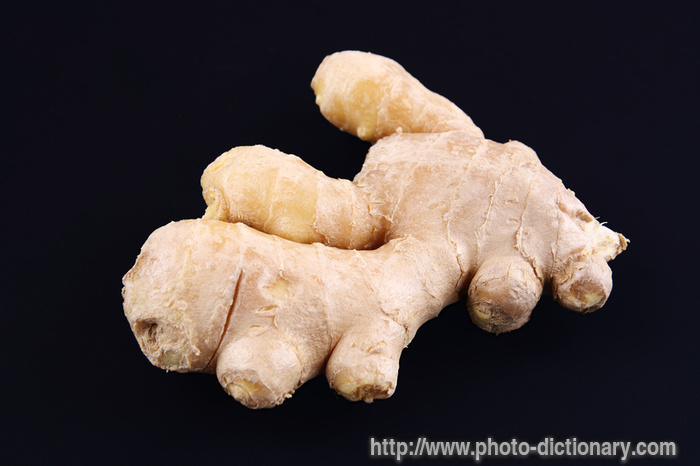 ginger - photo/picture definition - ginger word and phrase image