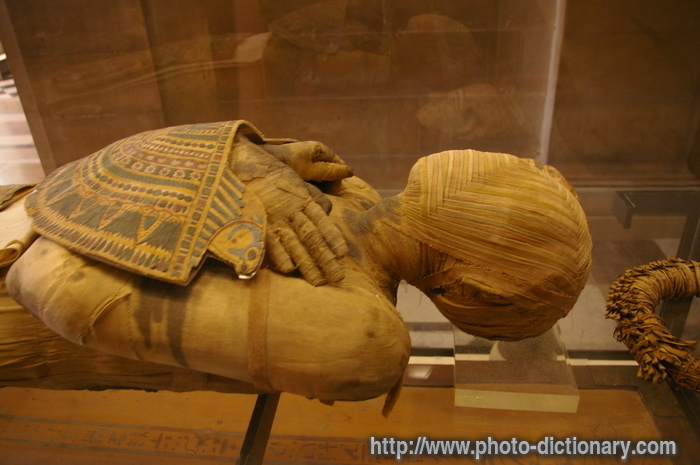 mummy - photo/picture definition - mummy word and phrase image