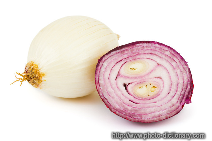 shallot - photo/picture definition - shallot word and phrase image