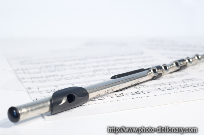 transverse flute - photo/picture definition - transverse flute word and phrase image