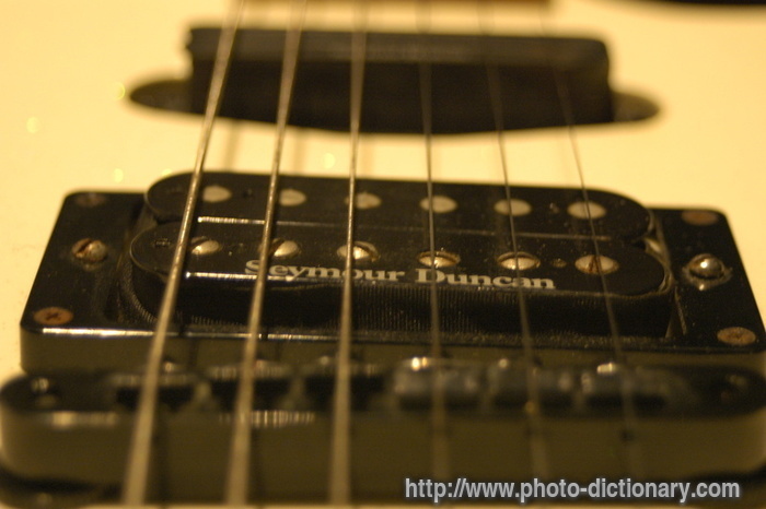 guitar - photo/picture definition - guitar word and phrase image