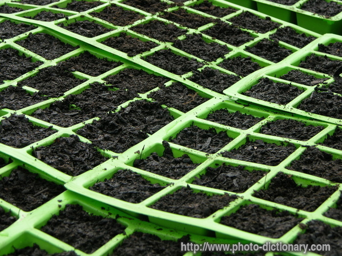 seedtrays - photo/picture definition - seedtrays word and phrase image
