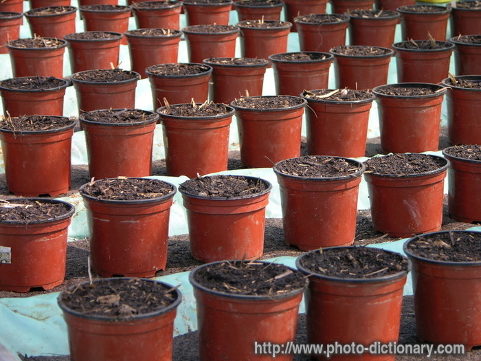 plant pots - photo/picture definition - plant pots word and phrase image