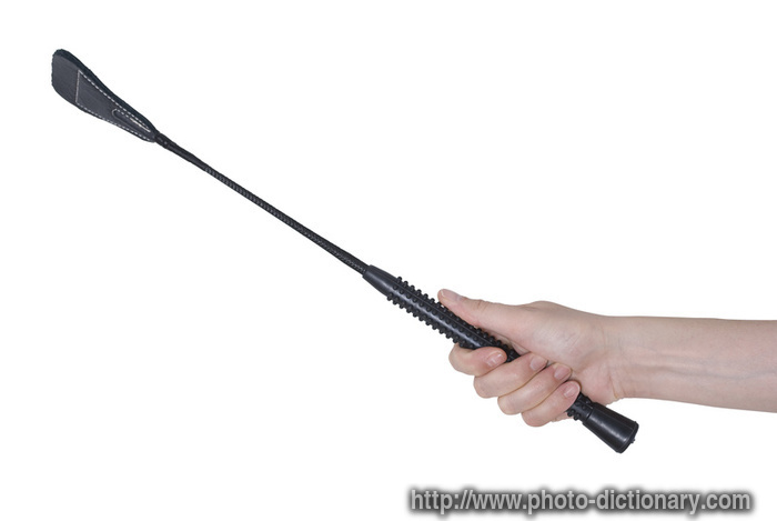 riding crop - photo/picture definition - riding crop word and phrase image