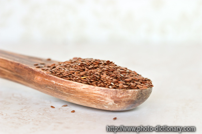 flax seed - photo/picture definition - flax seed word and phrase image