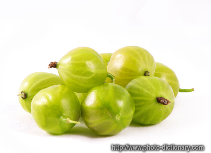 gooseberry - photo/picture definition - gooseberry word and phrase image