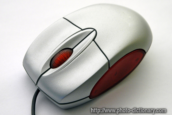 computer mouse - photo/picture definition - computer mouse word and phrase image