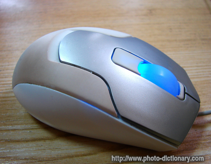 computer mouse - photo/picture definition - computer mouse word and phrase image
