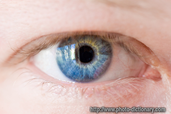 blue eye - photo/picture definition - blue eye word and phrase image