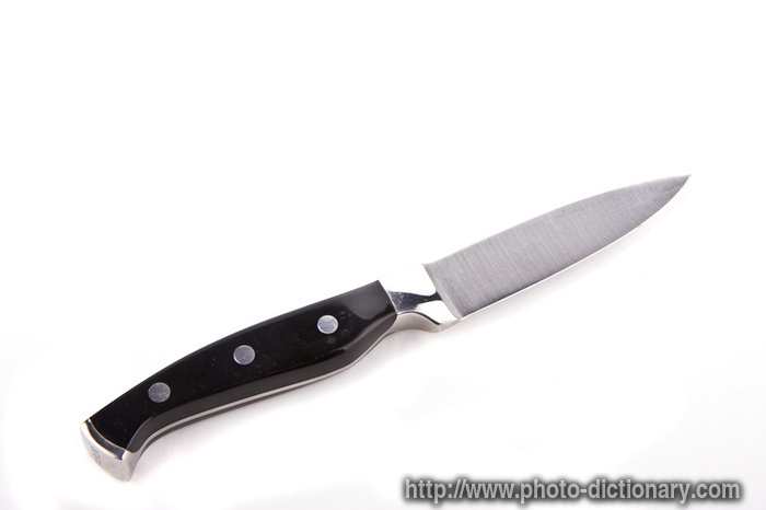 paring knife - photo/picture definition - paring knife word and phrase image