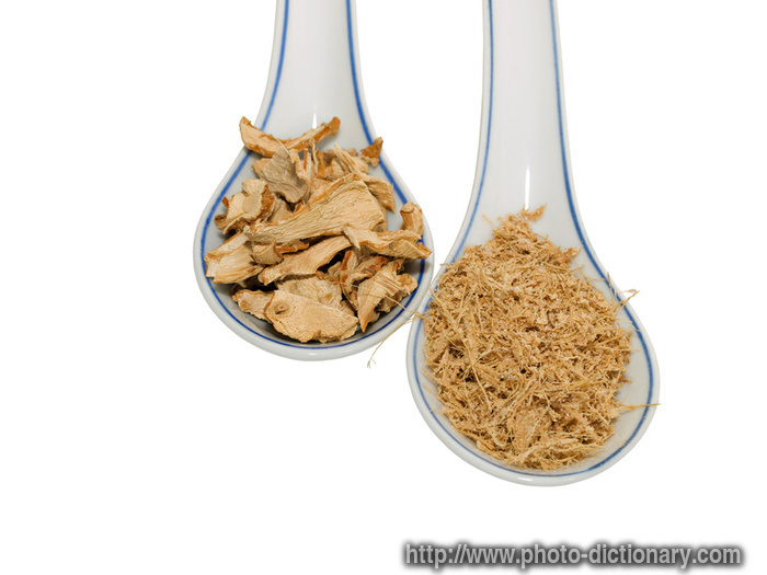 galangal spices - photo/picture definition - galangal spices word and phrase image