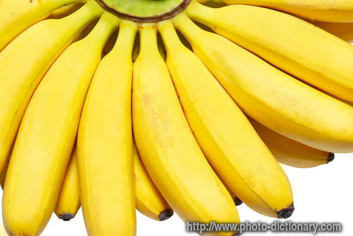 bananas - photo/picture definition - bananas word and phrase image