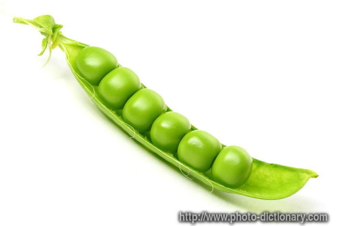 peas - photo/picture definition - peas word and phrase image