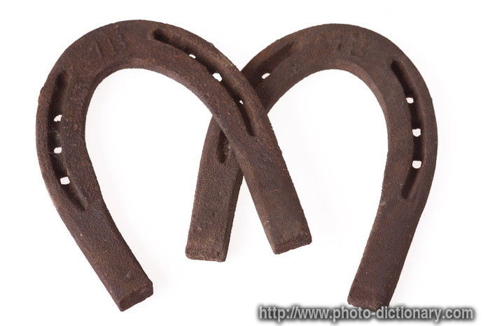 horseshoes - photo/picture definition - horseshoes word and phrase image