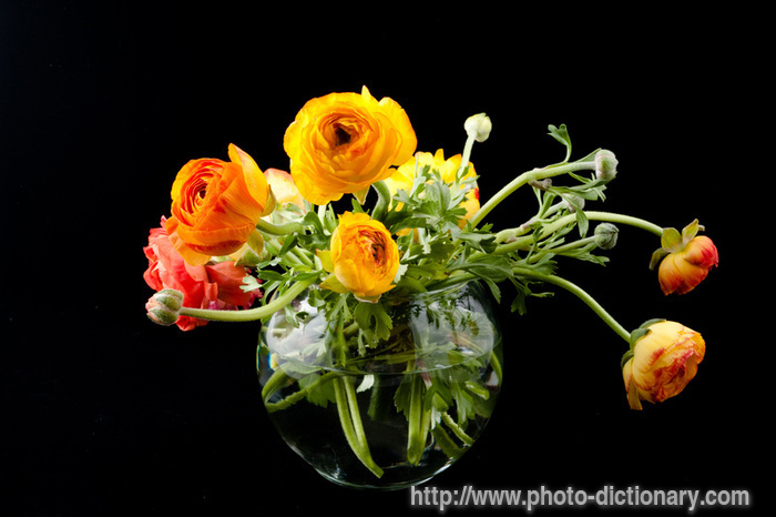 ranunculus flowers - photo/picture definition - ranunculus flowers word and phrase image