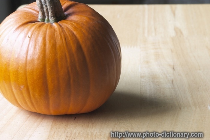 pumpkin - photo/picture definition - pumpkin word and phrase image