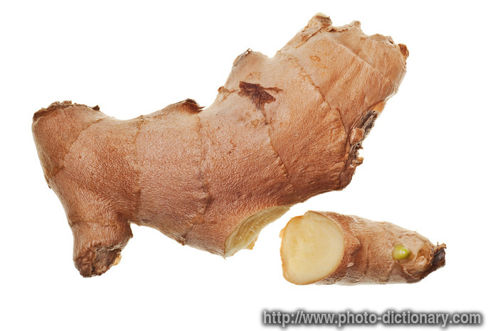 ginger root - photo/picture definition - ginger root word and phrase image