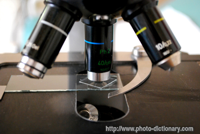 medical microscope - photo/picture definition - medical microscope word and phrase image