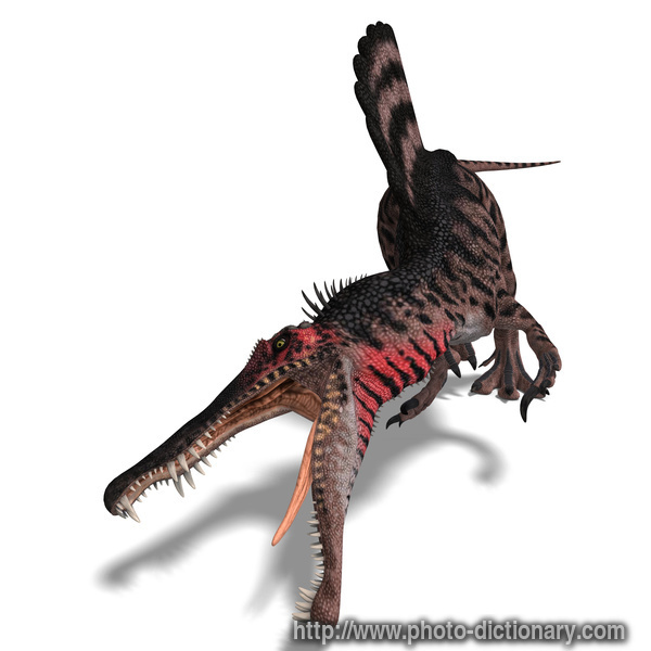 spinosaurus - photo/picture definition - spinosaurus word and phrase image