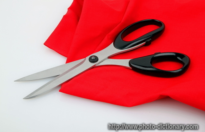 scissors - photo/picture definition - scissors word and phrase image