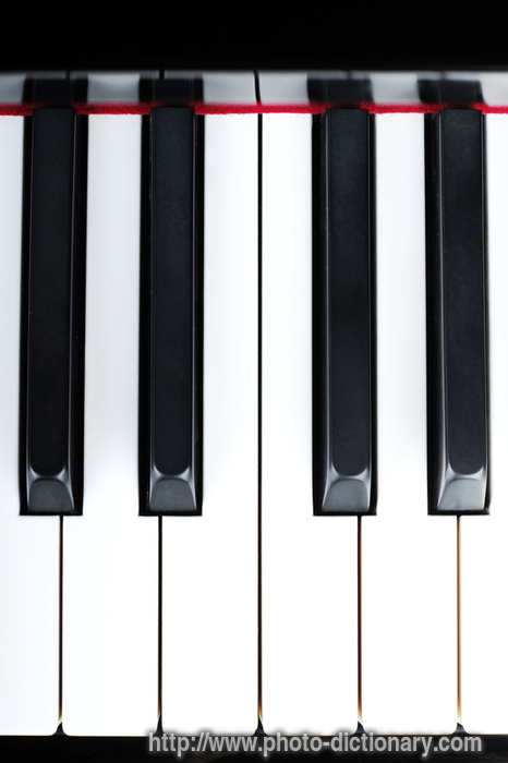 piano keys - photo/picture definition - piano keys word and phrase image