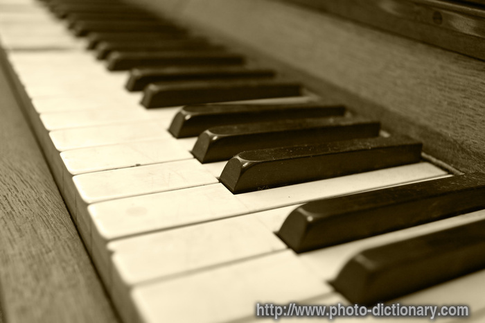 piano keys - photo/picture definition - piano keys word and phrase image