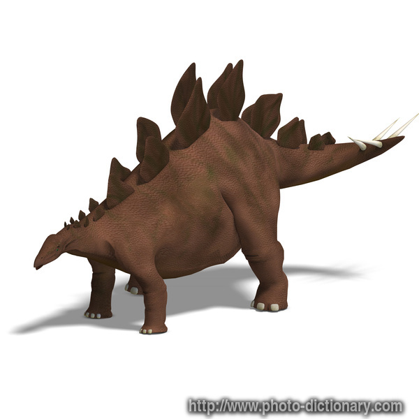 stegosaurus - photo/picture definition - stegosaurus word and phrase image