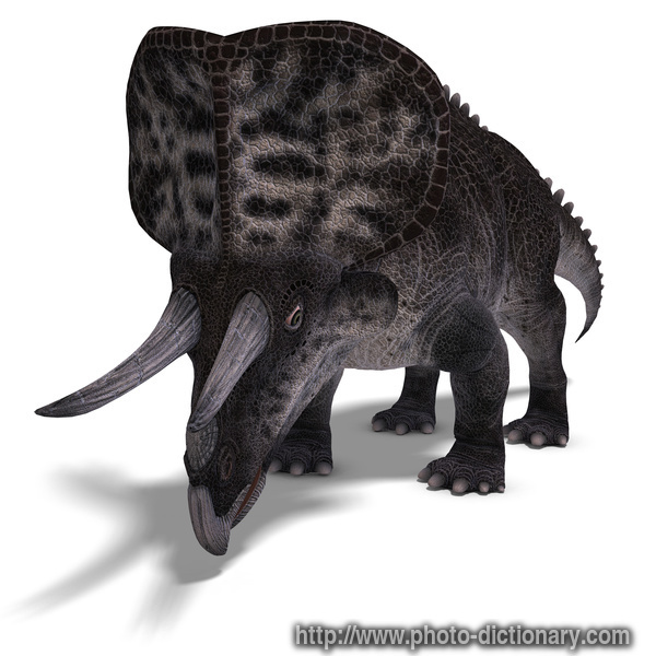 zuniceratops - photo/picture definition - zuniceratops word and phrase image