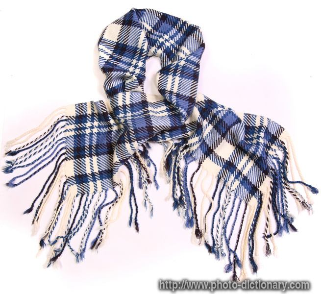 checkered scarf - photo/picture definition - checkered scarf word and phrase image