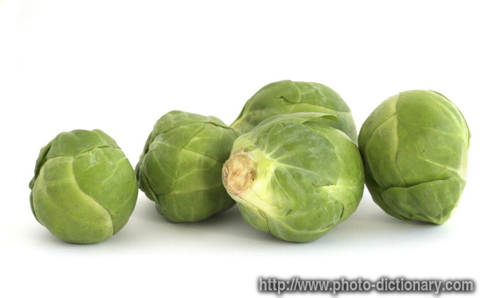 brussels sprouts - photo/picture definition - brussels sprouts word and phrase image