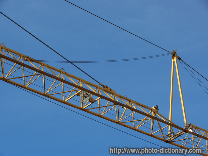 crane - photo/picture definition - crane word and phrase image